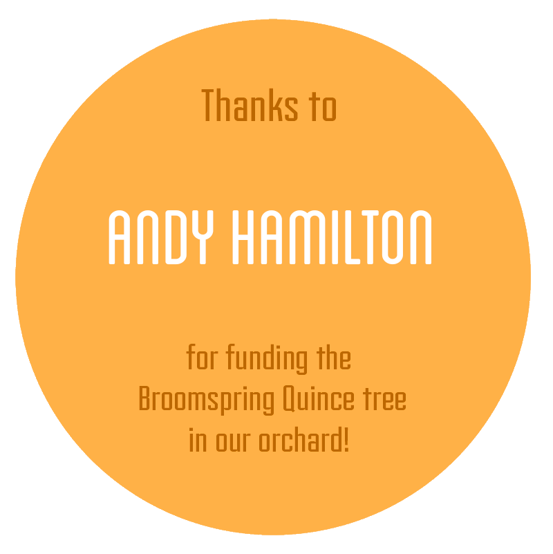 Andy-Hamilton.png
