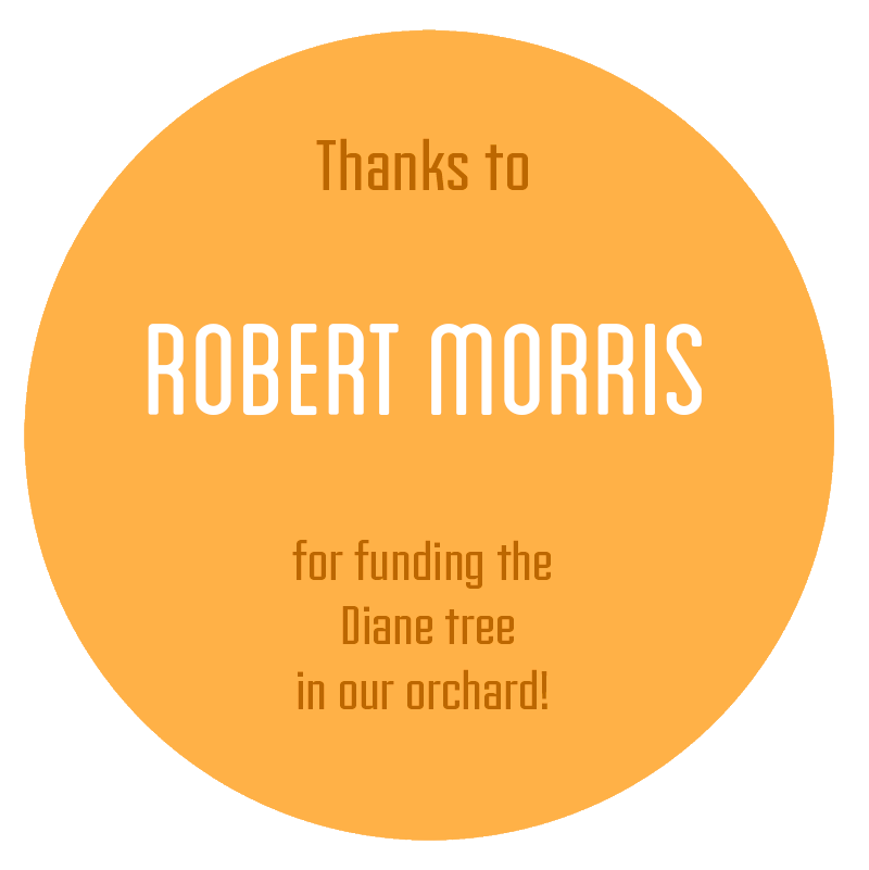 Robert-Morris.png
