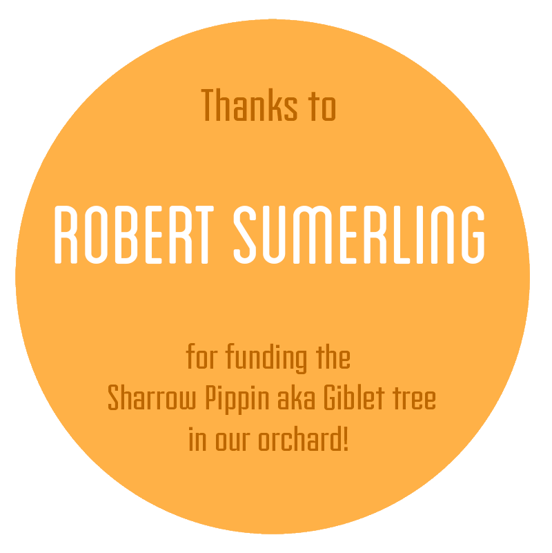 Robert-Sumerling.png