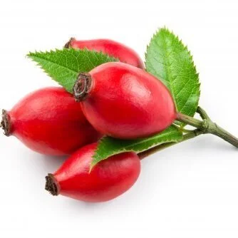 Rosehipoil.jpg