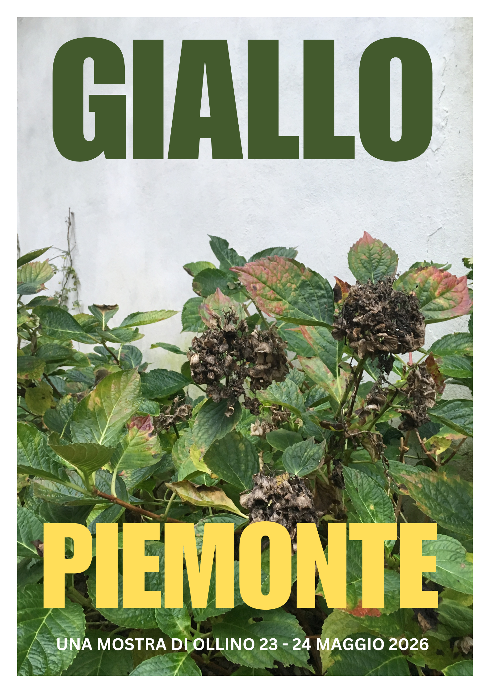 GIALLO PIEMONTE