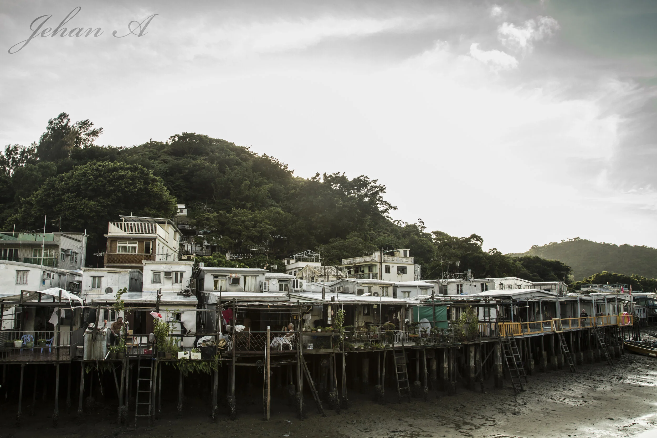 IMG_4941-2.jpg