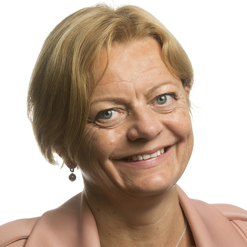 Anne K. Fahlvik.png