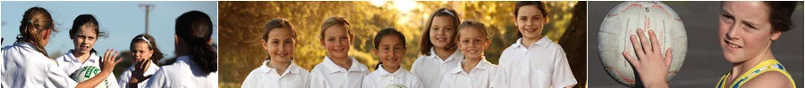 banner51.jpg