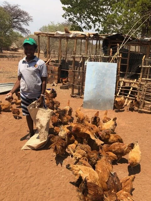 Livelihoods activities underway with Zayohub