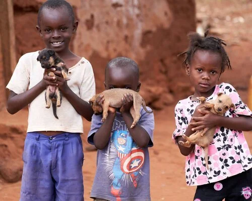 ANAW and ANAW-USA sign up to iLearnabout