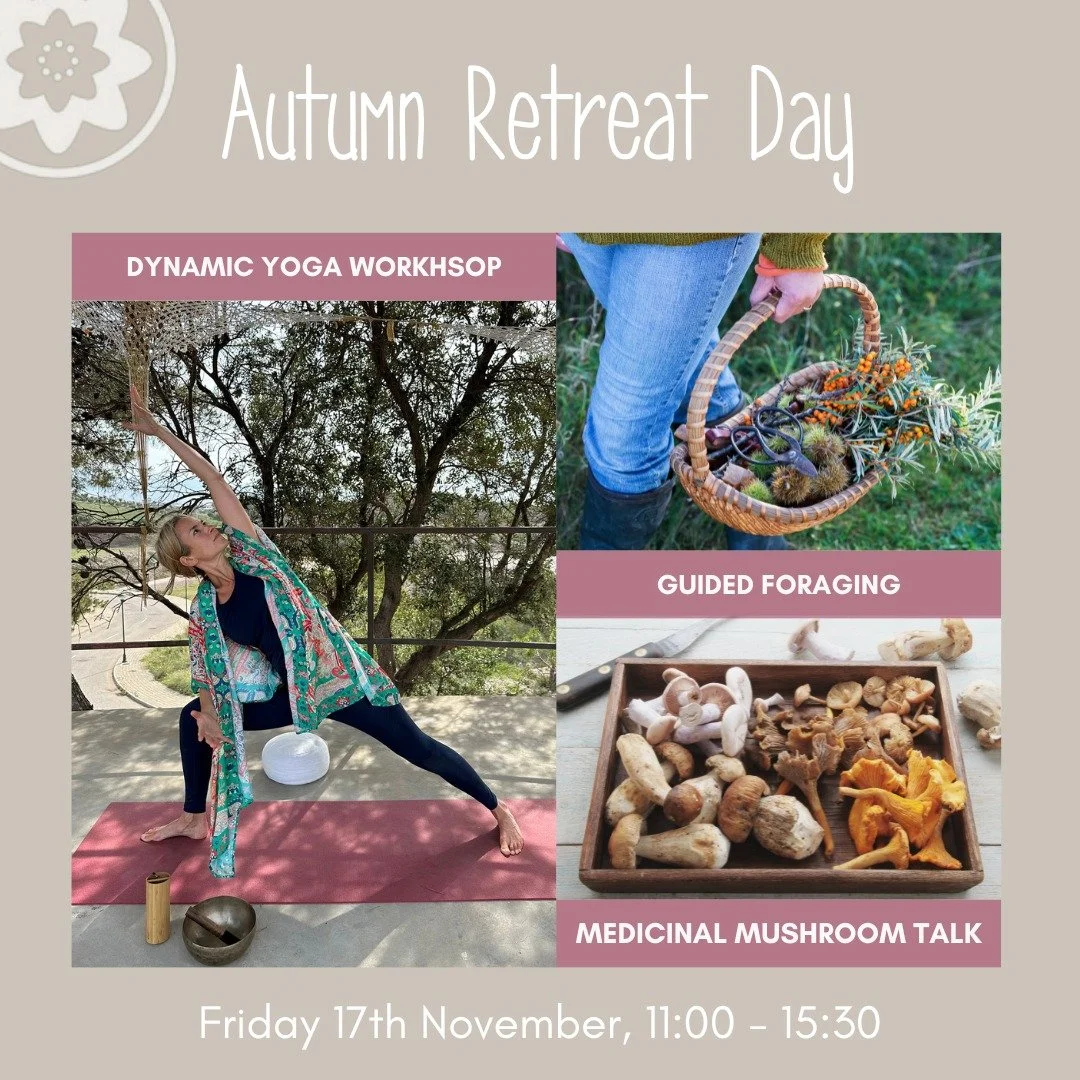 Autumn Retreat Day