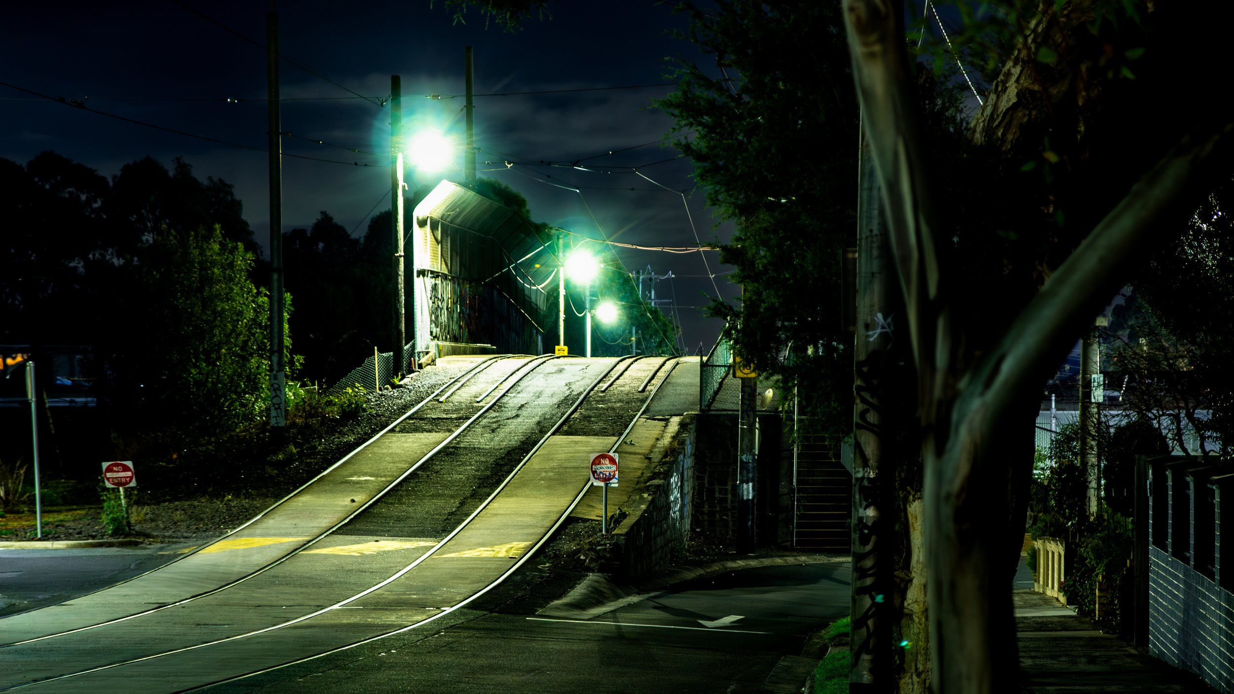 Nightfall (For Website)-6.jpg
