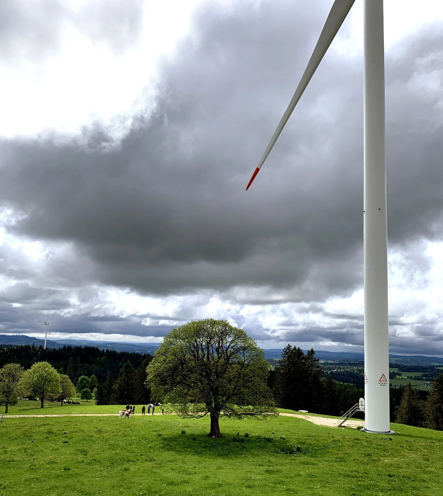 Eindruck Offene Türe 2021