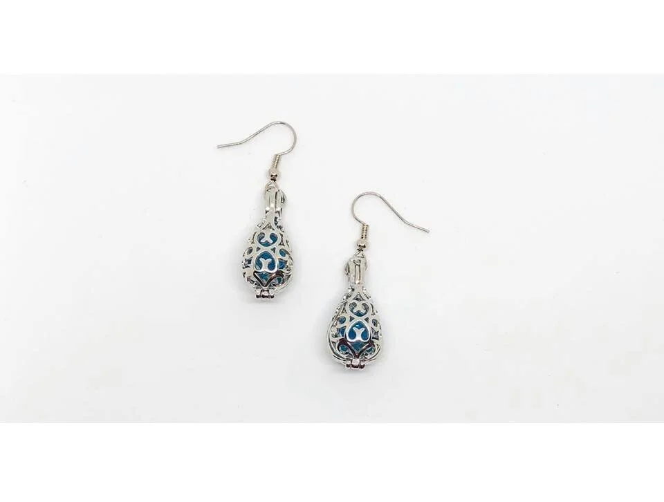 Locket Drop Earrings