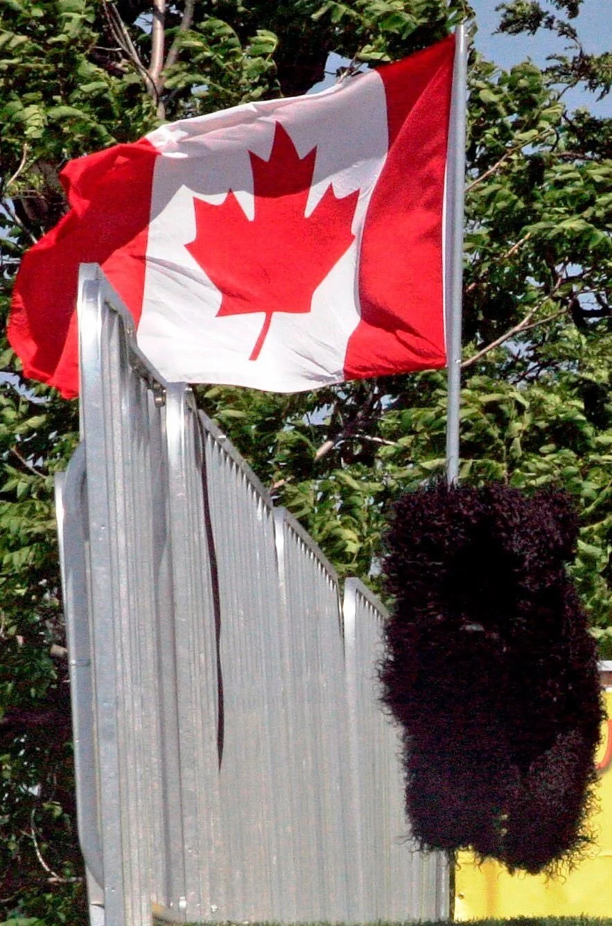 Chasing Business Across the Border