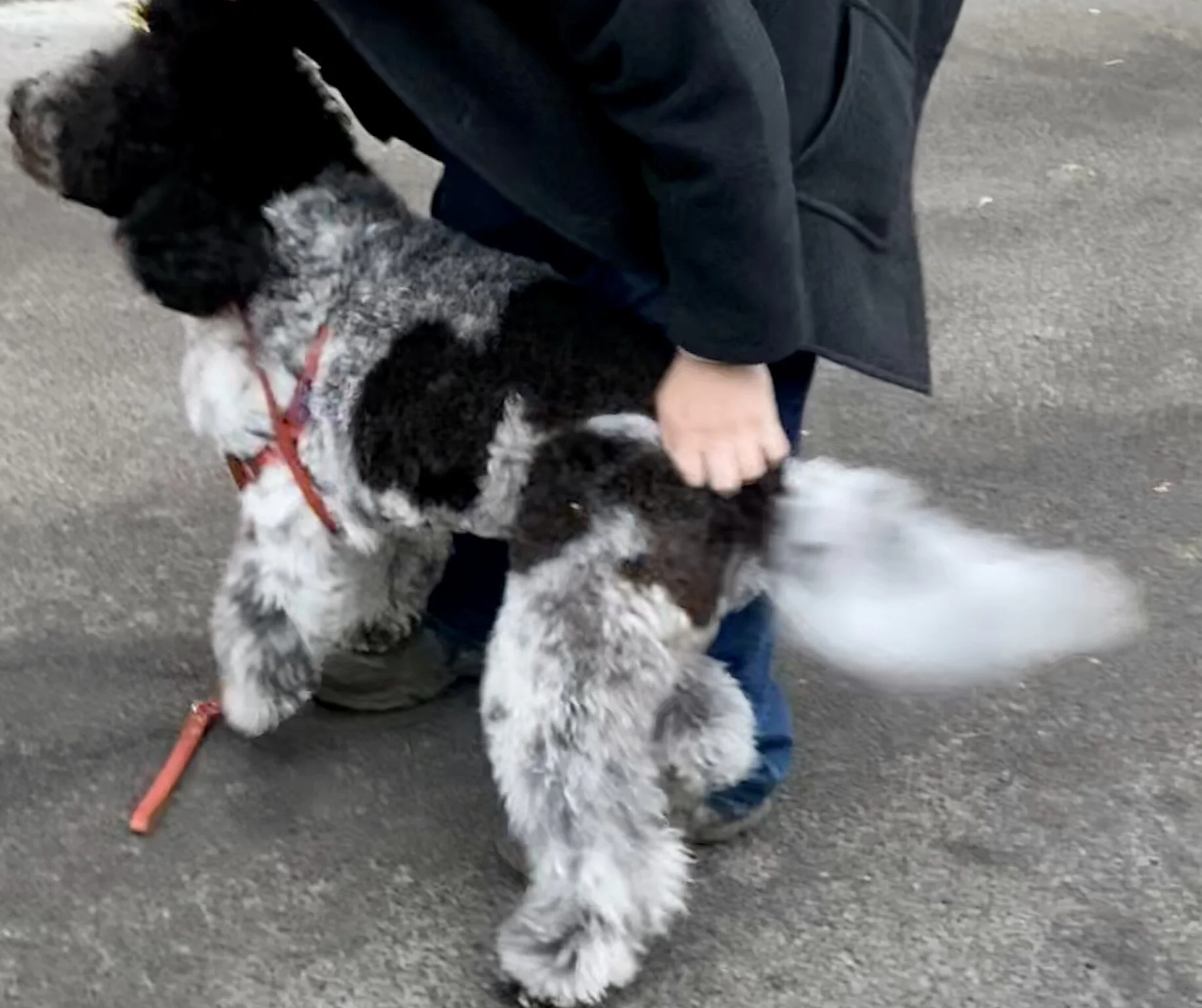 Getting Paid:  Know Your Value