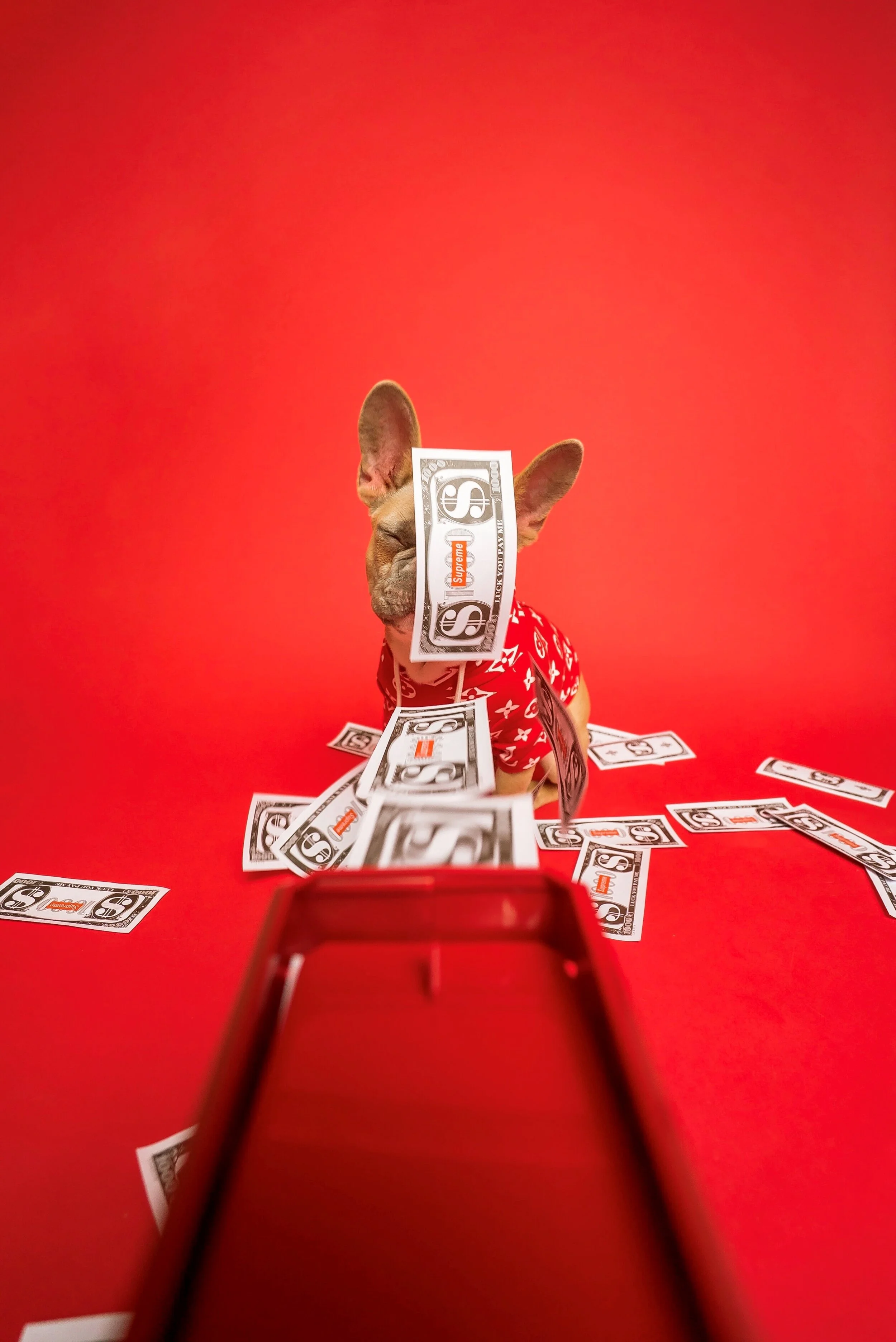 Are you Invisible to your Bank?