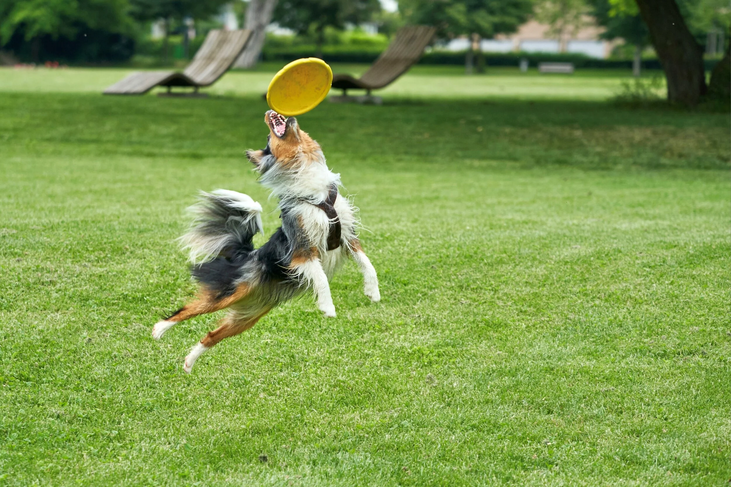 Leveraging “Free” Social Media