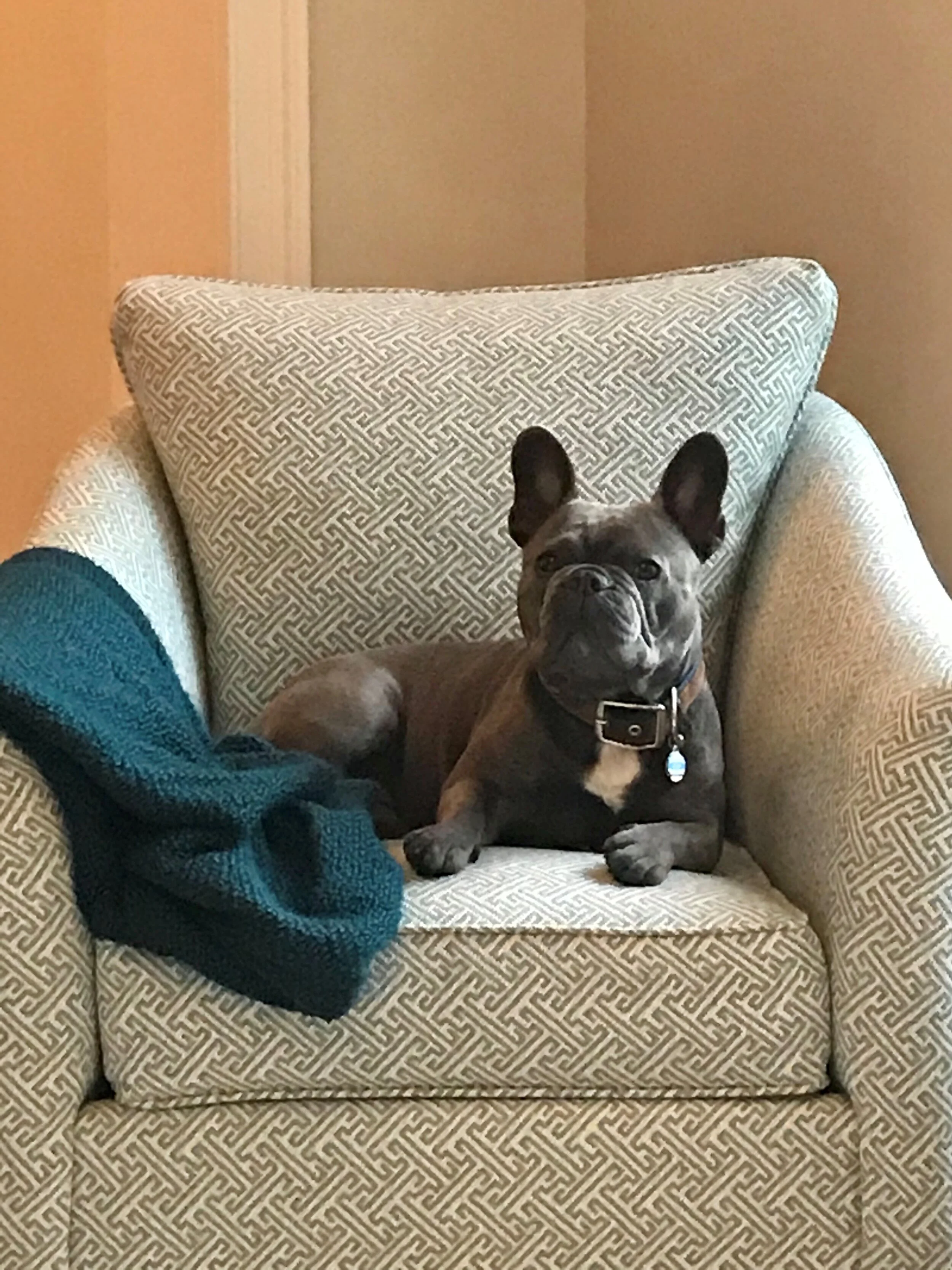 The Confident Entrepreneur