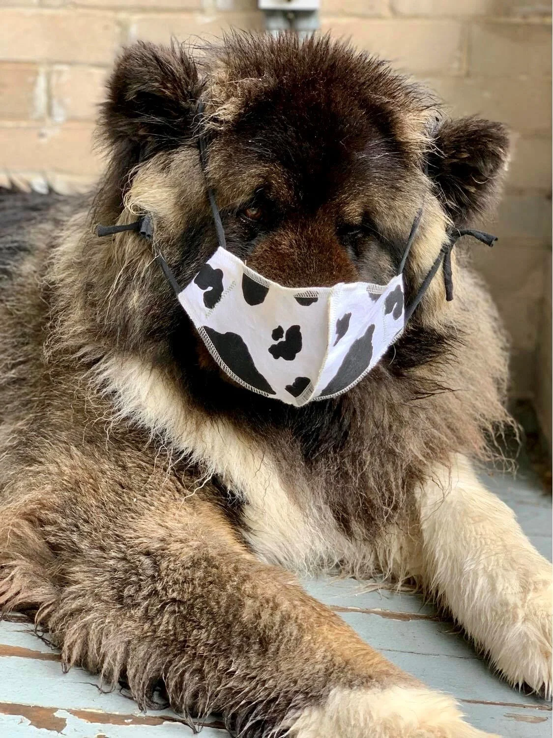 Business in Disguise