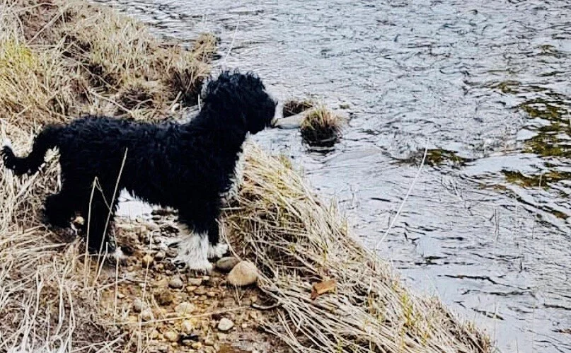 Navigating Contracts