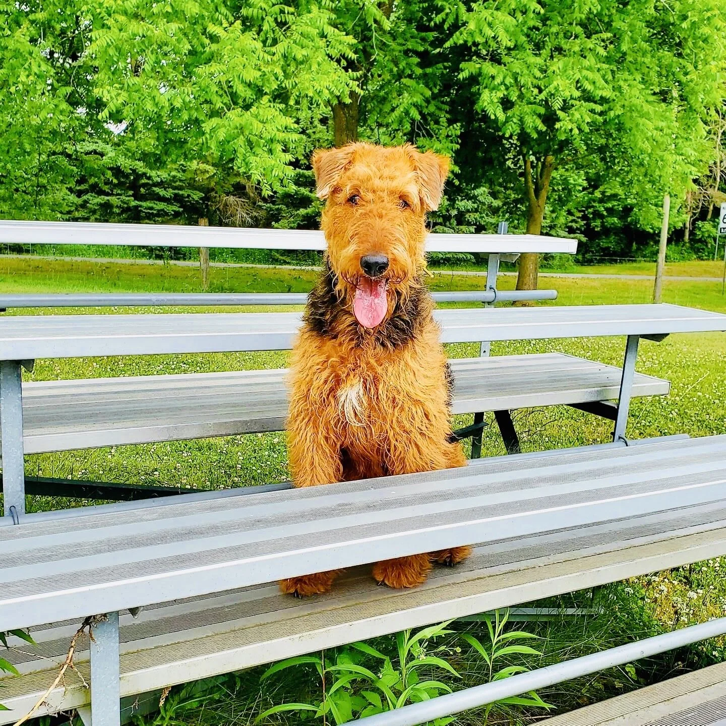 A Timeout for Pro Bono Advisory Services