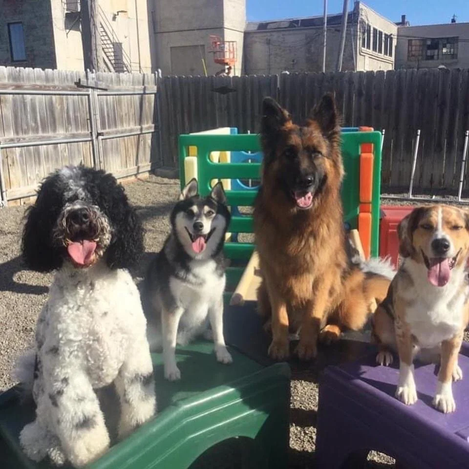 Executive Leadership