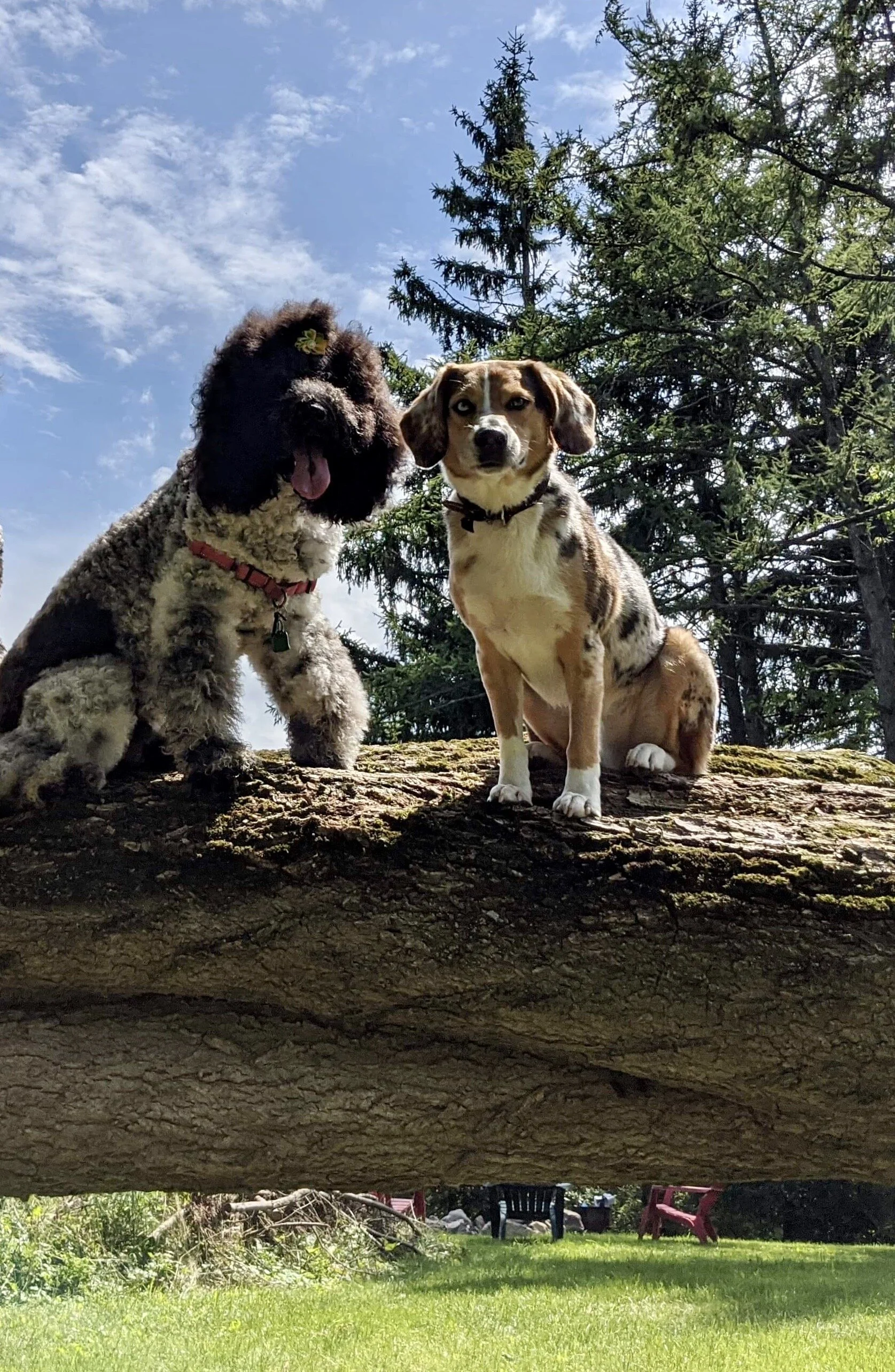 Climb above the Routine