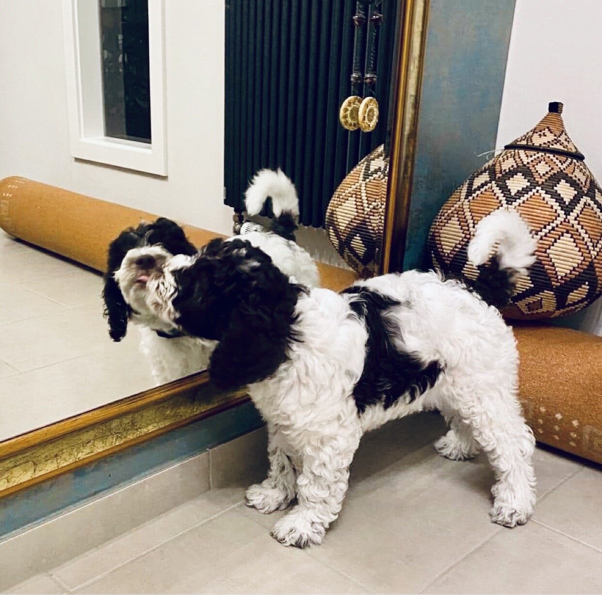 Your Brand, Your Image