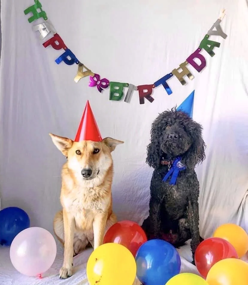 Happy First Birthday!