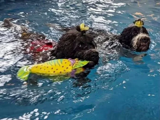 Catching the Big Fish