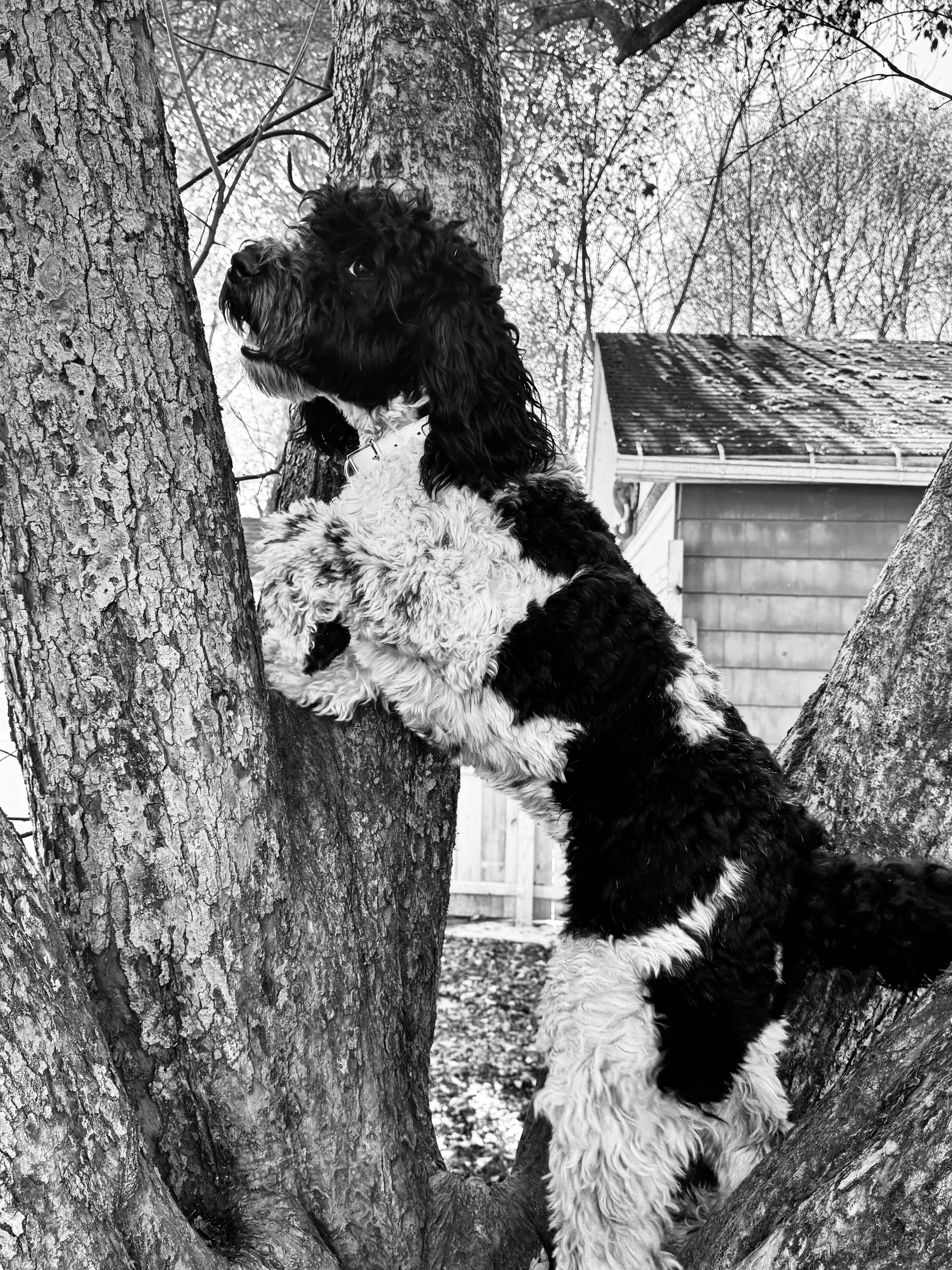 Small Business is Never Just Black & White