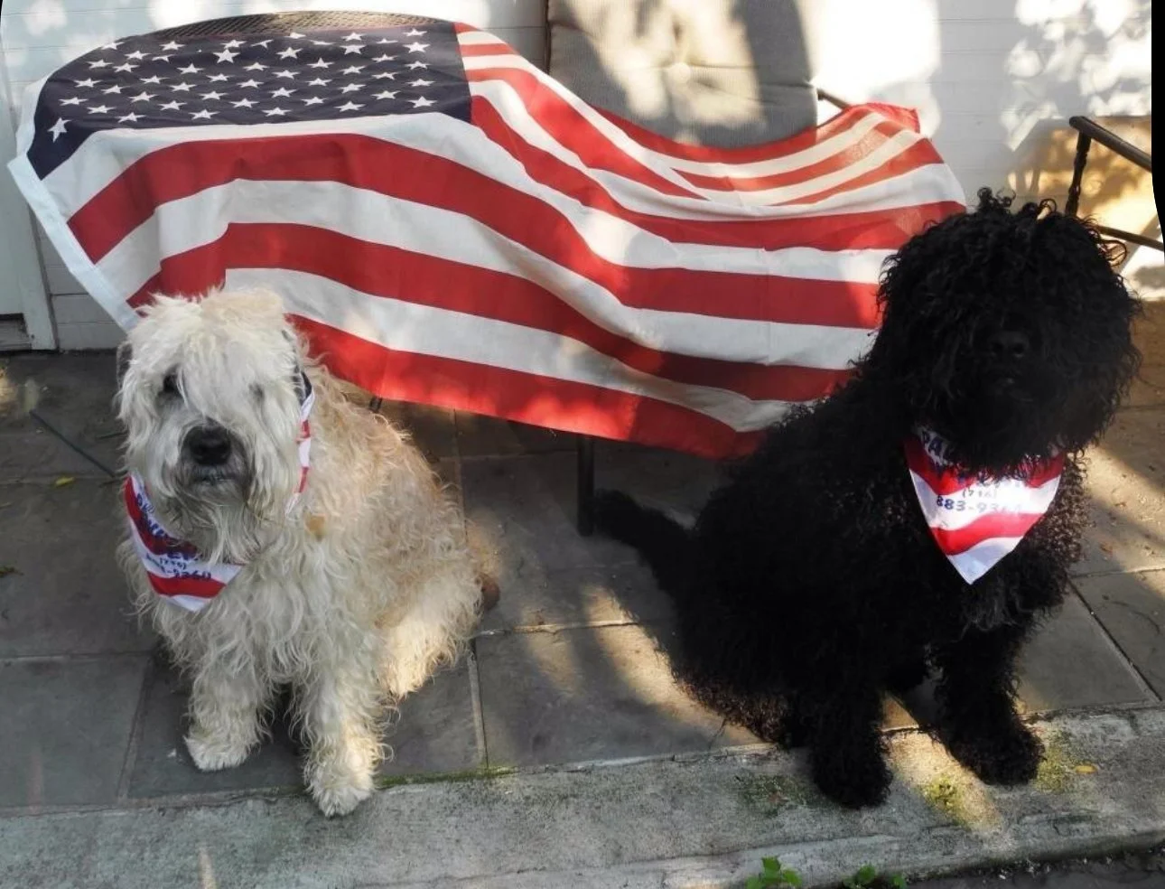 Veteran’s Designation