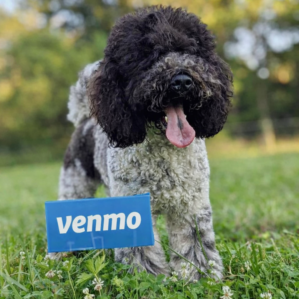 Venmo