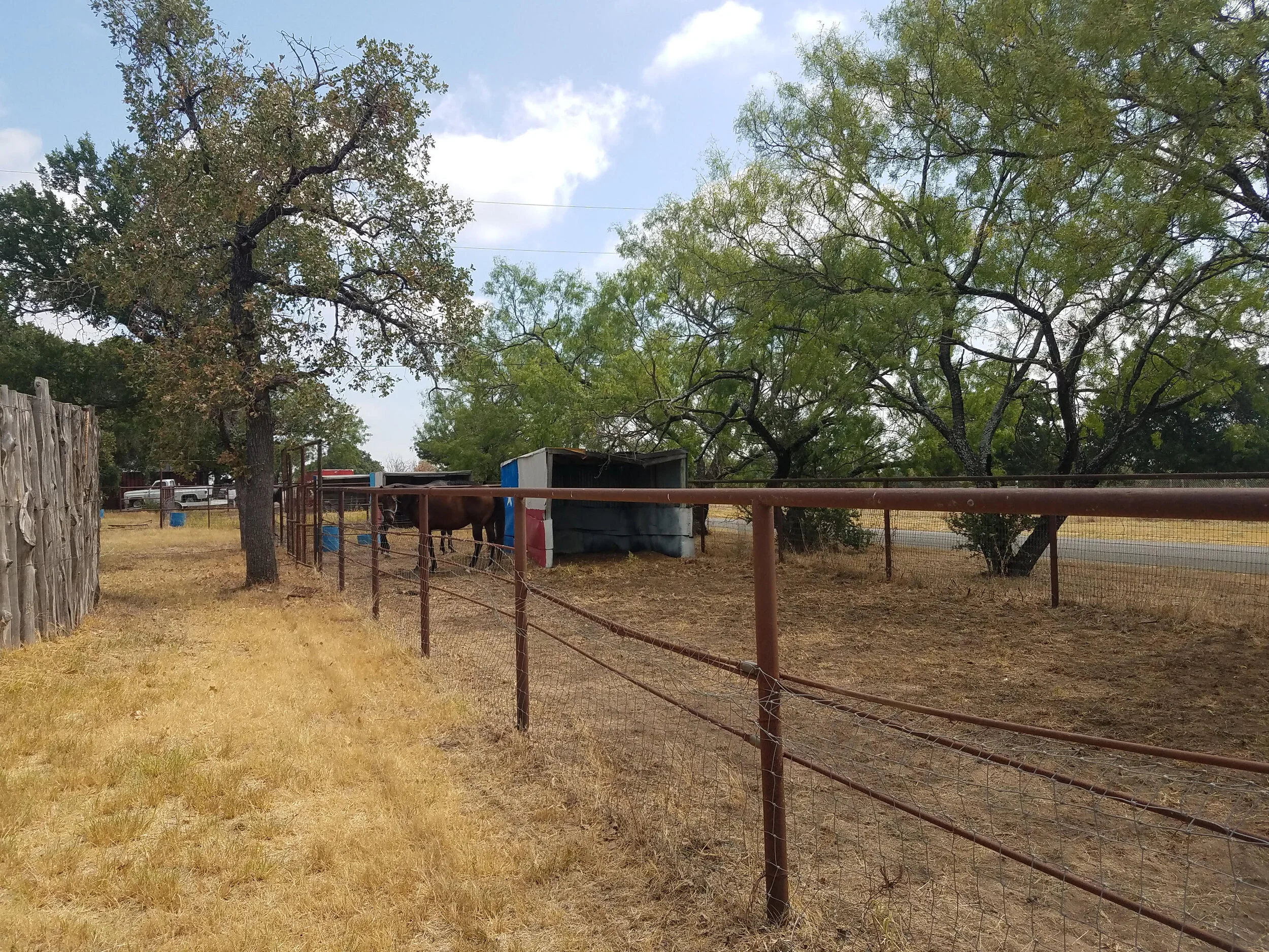 second pen and loafing shed.jpg