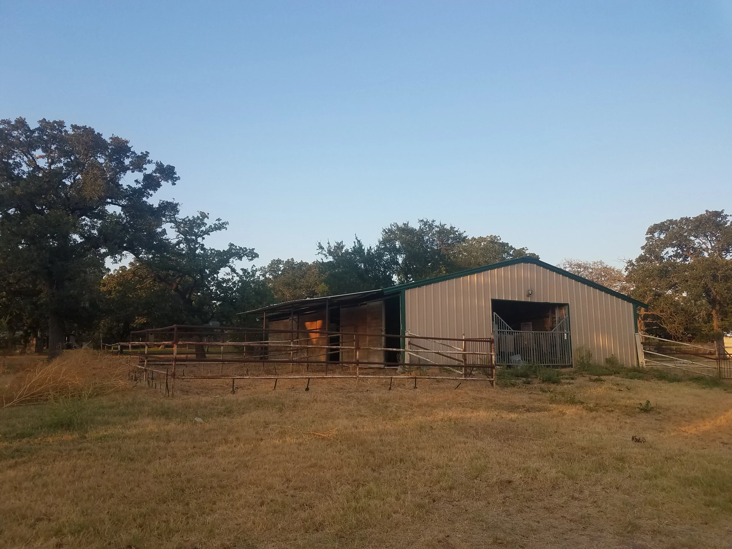 Horse barn