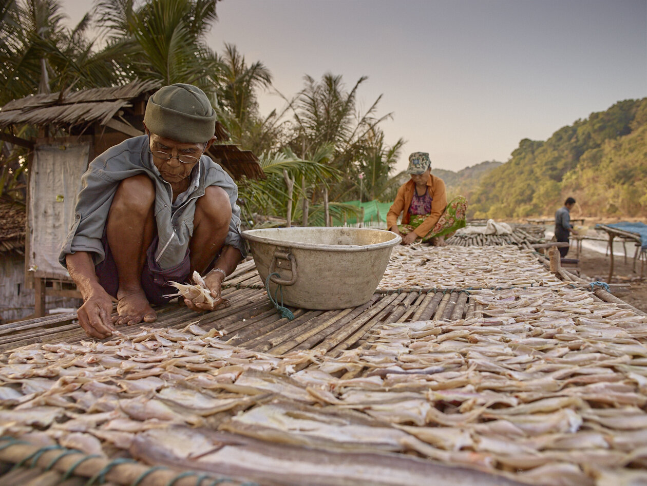 drying fish.jpg