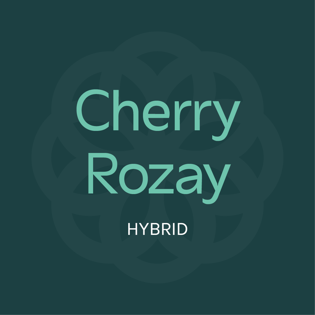 Cherryrozay