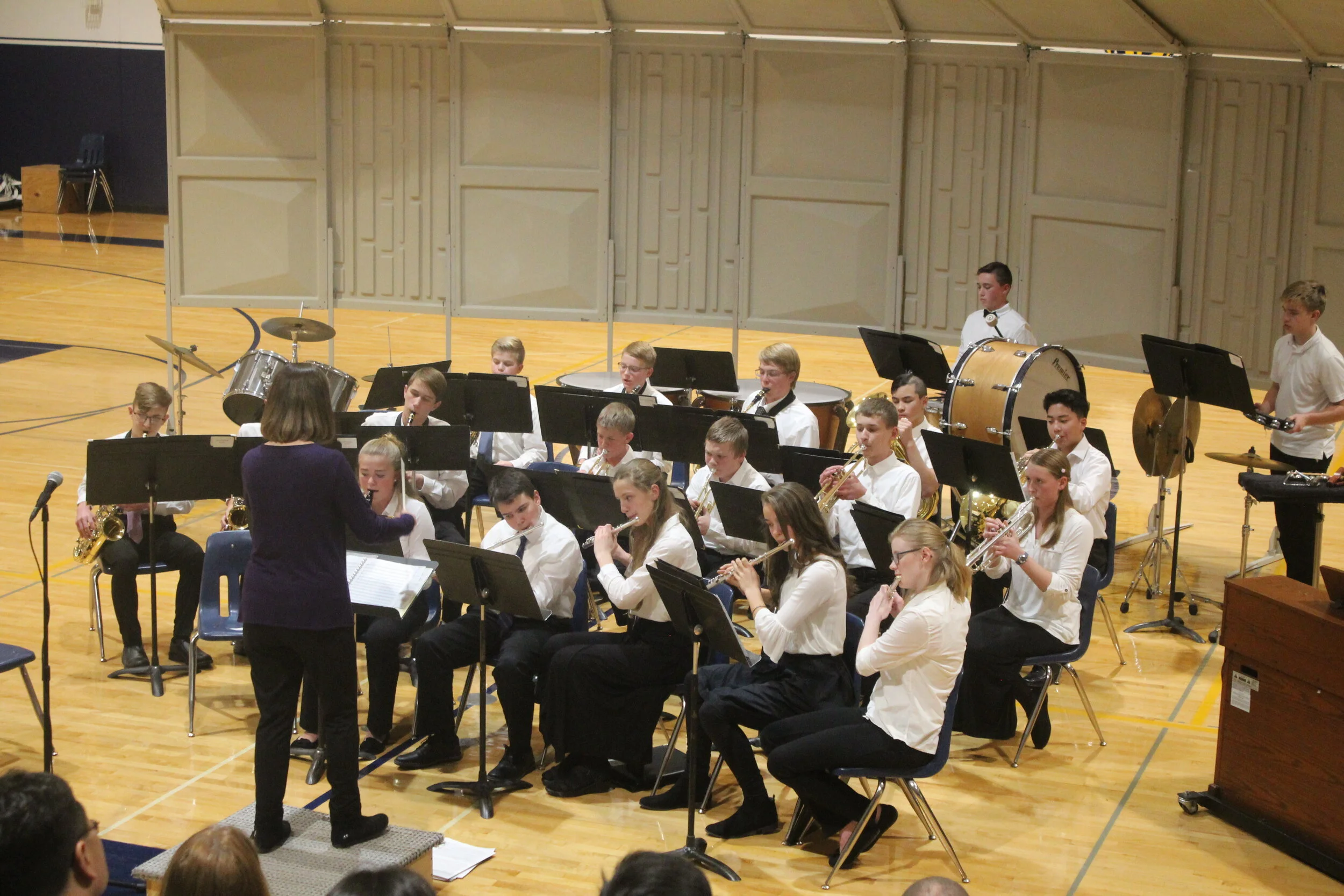 Arts Schaeffer Academy