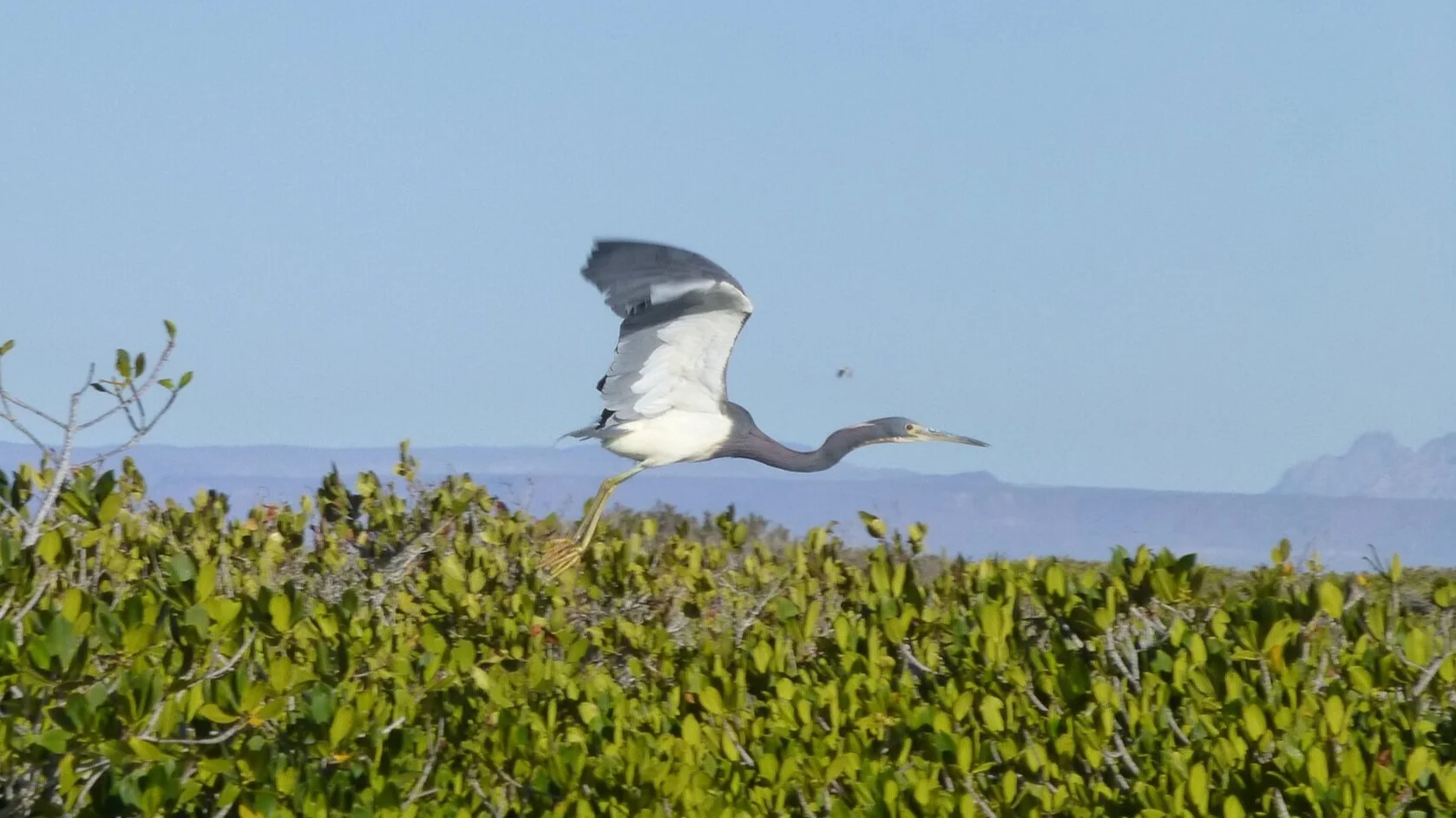 Baja and LA Mar 2013 (22).JPG