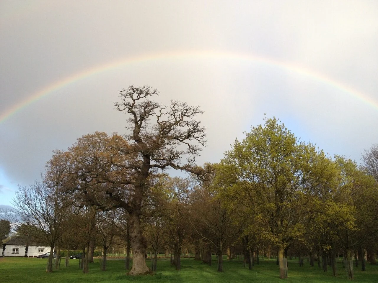 Phoenix Park, Dublin, Ireland