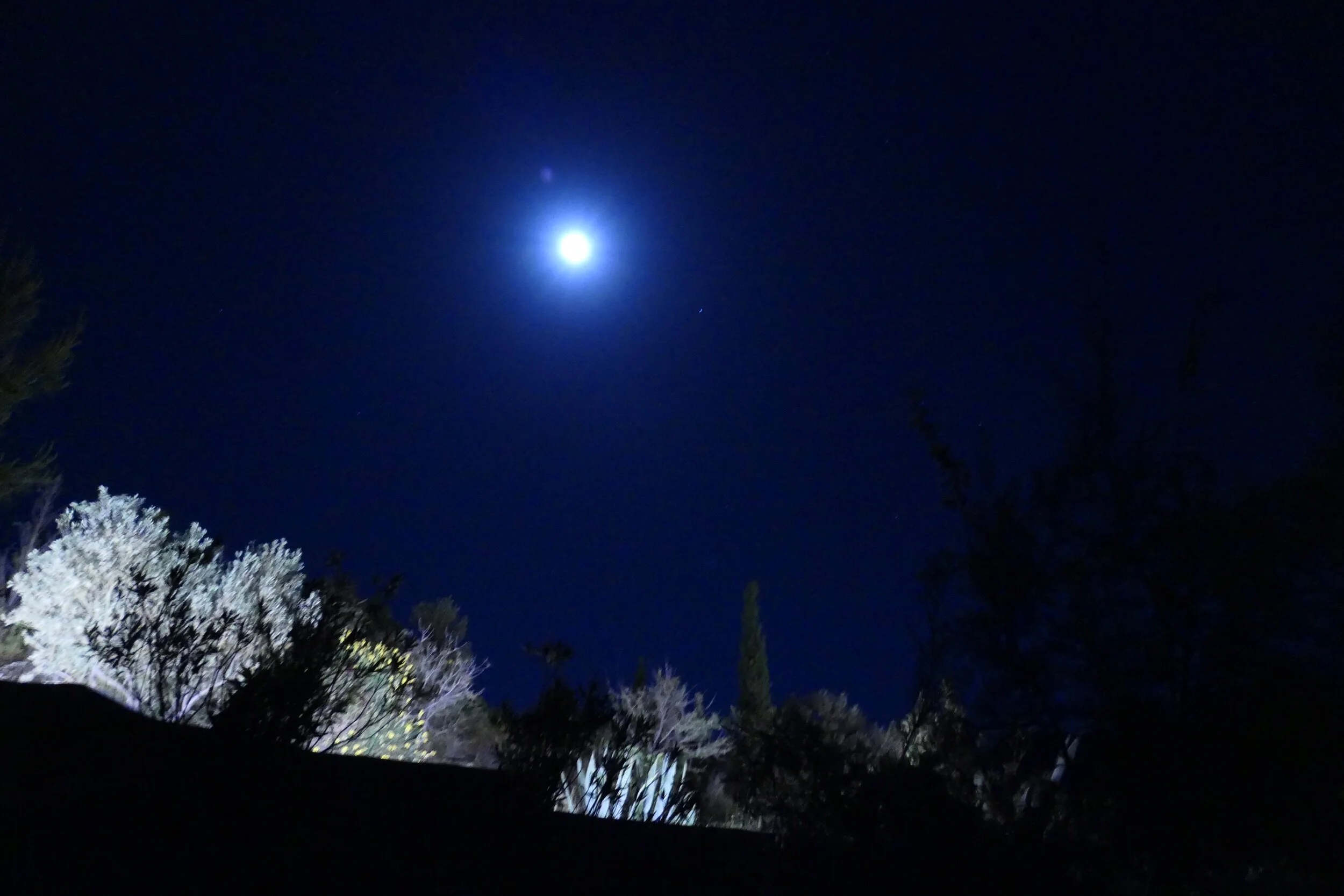 Moonlit evening on the Pelopponese Peninsula in Greece