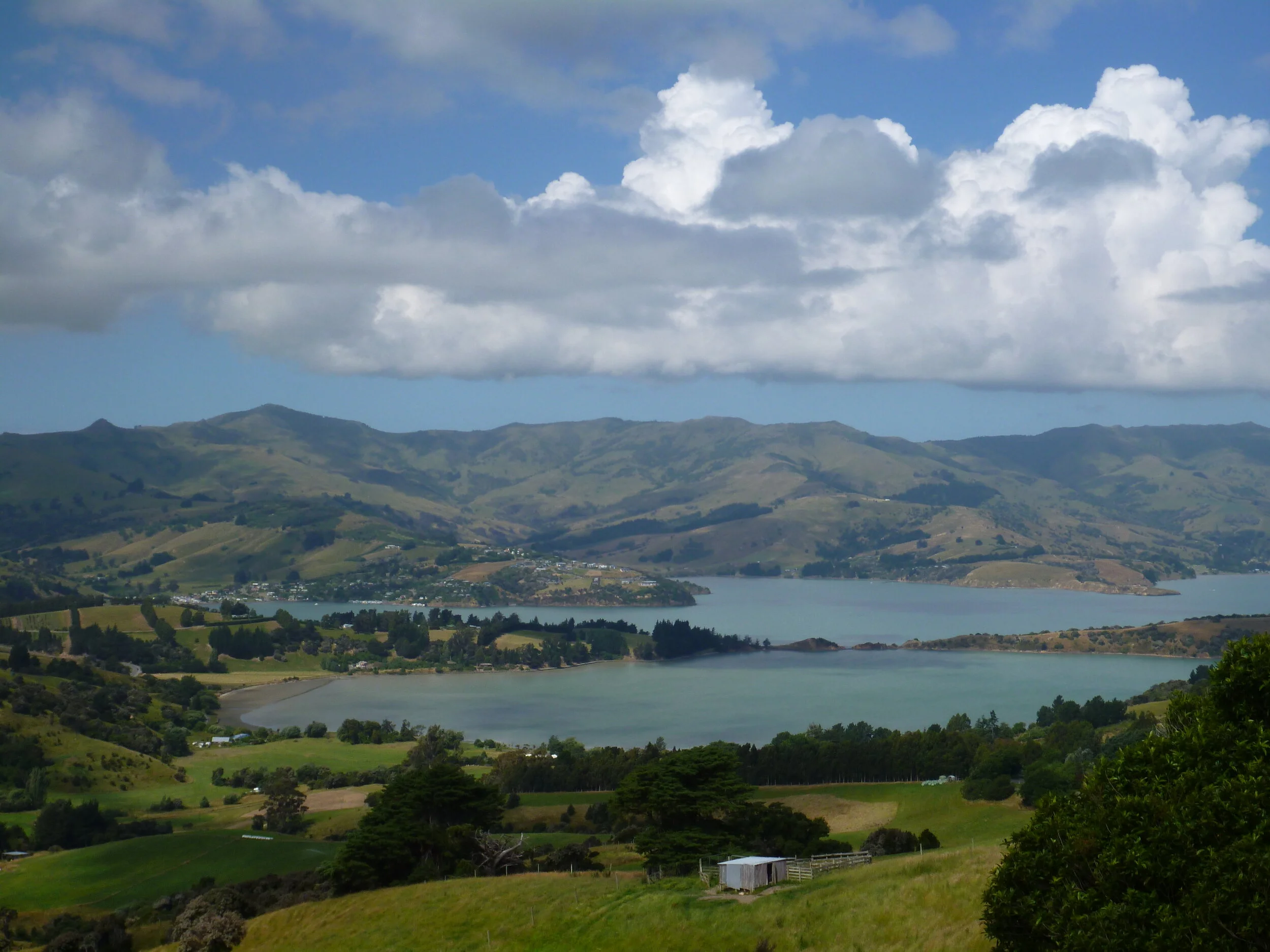 OzNZ 2011-12 511.JPG