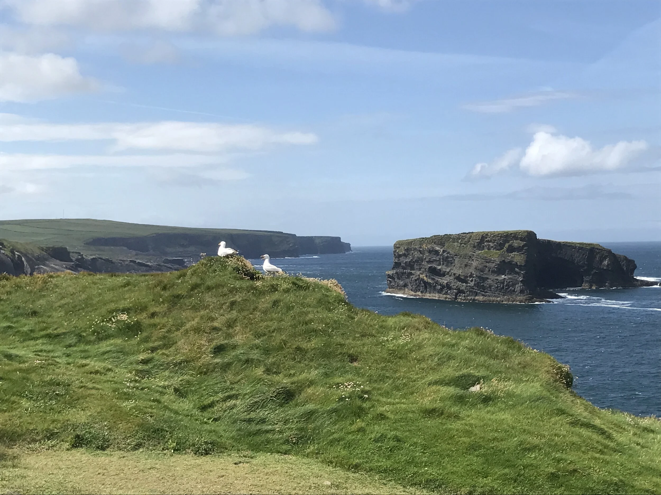 Kilkee 2017 (16).JPG