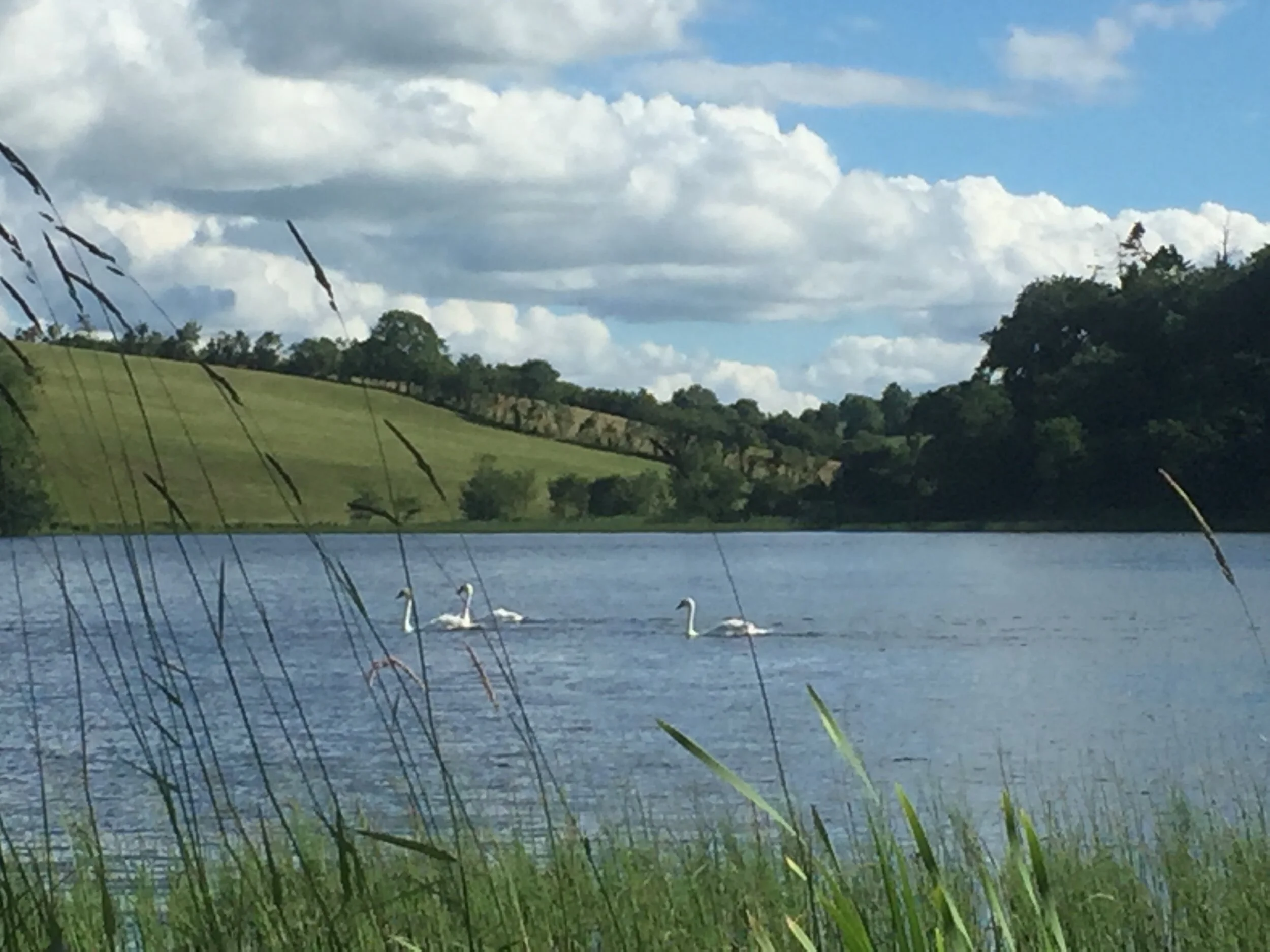 The Lake, Tyrone Guthrie Centre, Annamakerrig, Ireland