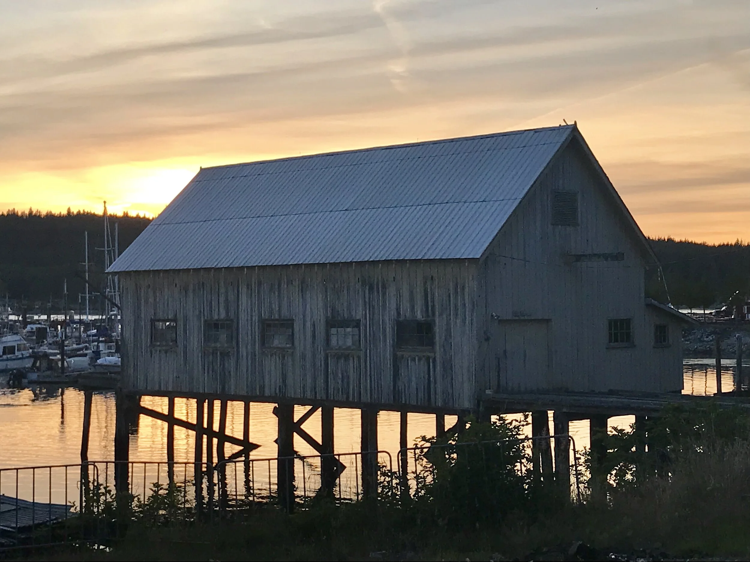 Islands and Research Trips Worth Waiting For