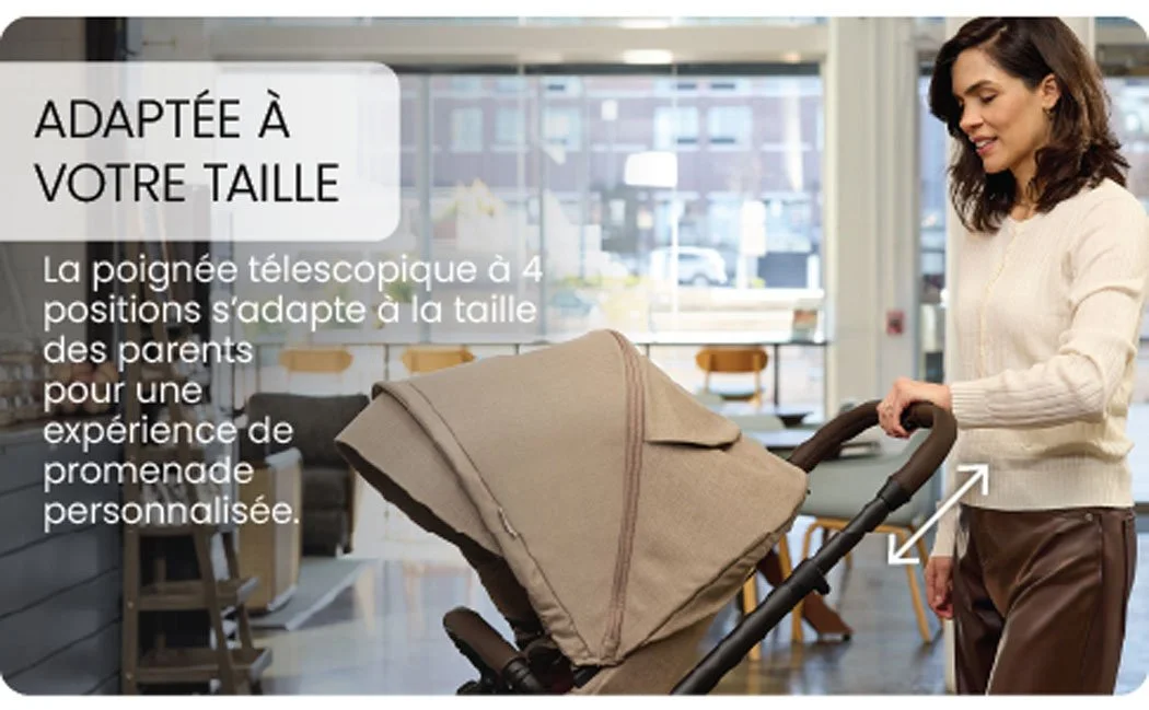 Guidon télescopique 4 positions