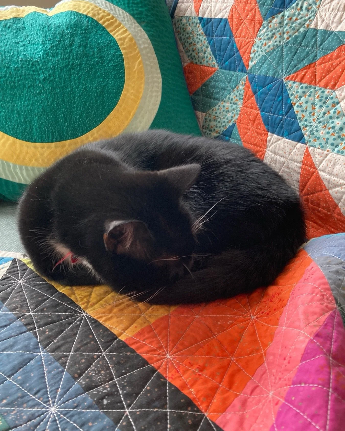 Oh to be a cat in a nest of quilts 💕#QuiltCatMondays