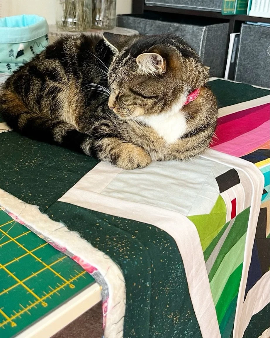Cats are just the best studio helpers aren&rsquo;t they 😂 throwing it back this #QuiltCatMondays to a couple of years ago when Aurora just *had* to help me baste this mini quilt. Don&rsquo;t forget to share your own feline quilt assistants every Mon
