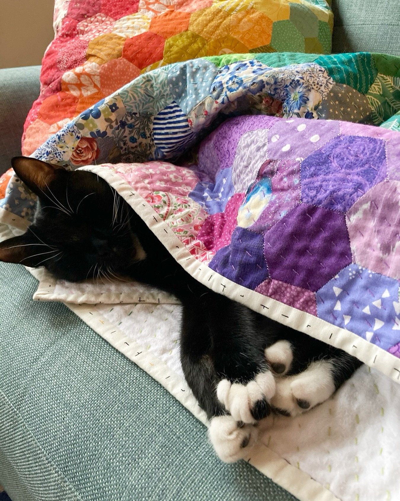 Lyra is a total mood this #QuiltCatMondays
🐈&zwj;⬛
#QuiltCat #CatsOnQuilts #RainbowHexieQuilt #Handsewing