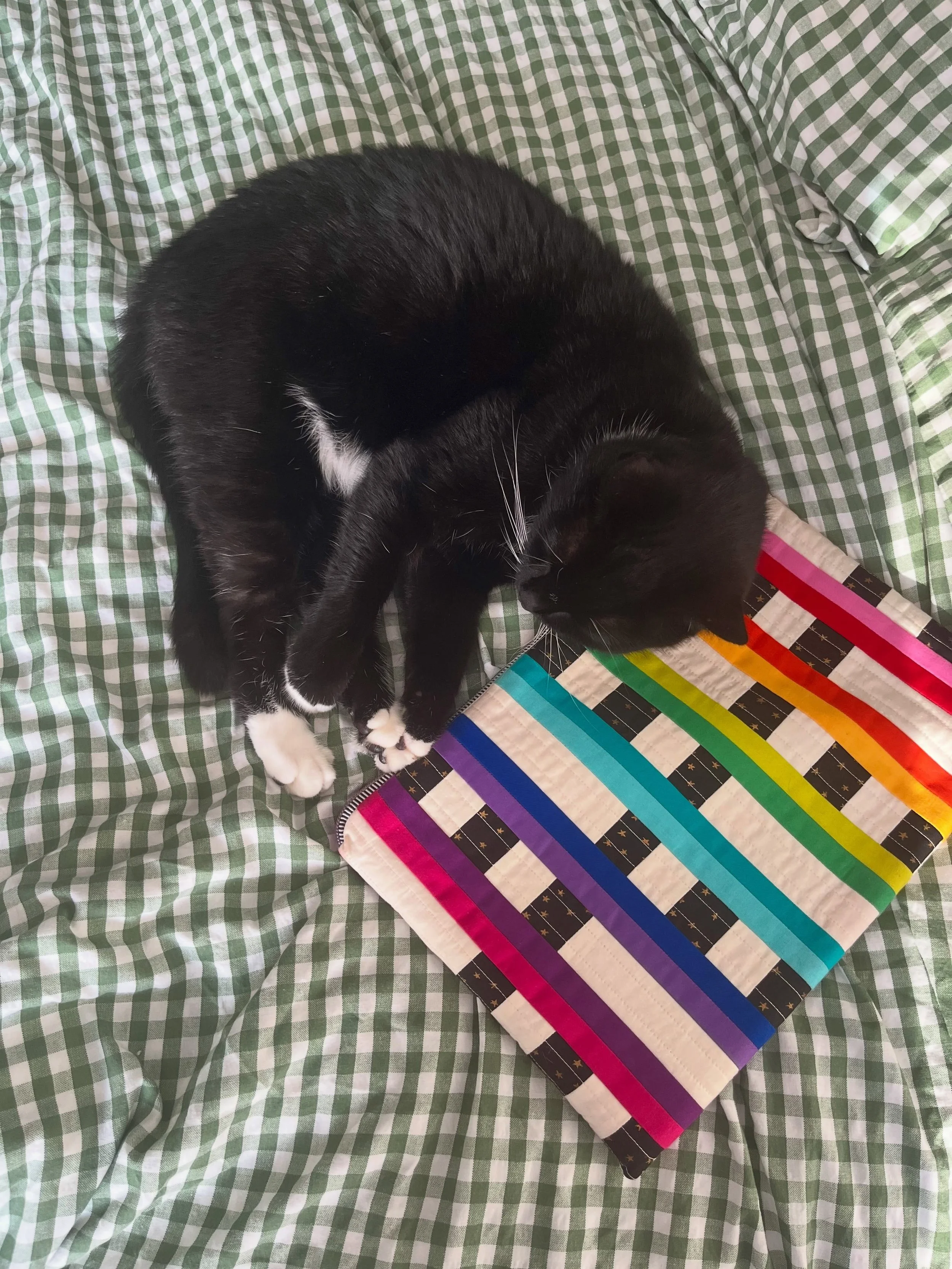 Wow! Thank you all SO much for the absolutely overwhelming response to the Starfall Pouch! I&rsquo;m so happy that you all love it so much. If you haven&rsquo;t picked up your copy yet, the link is in my bio 🔗
💫
Please note: cute cat is not include