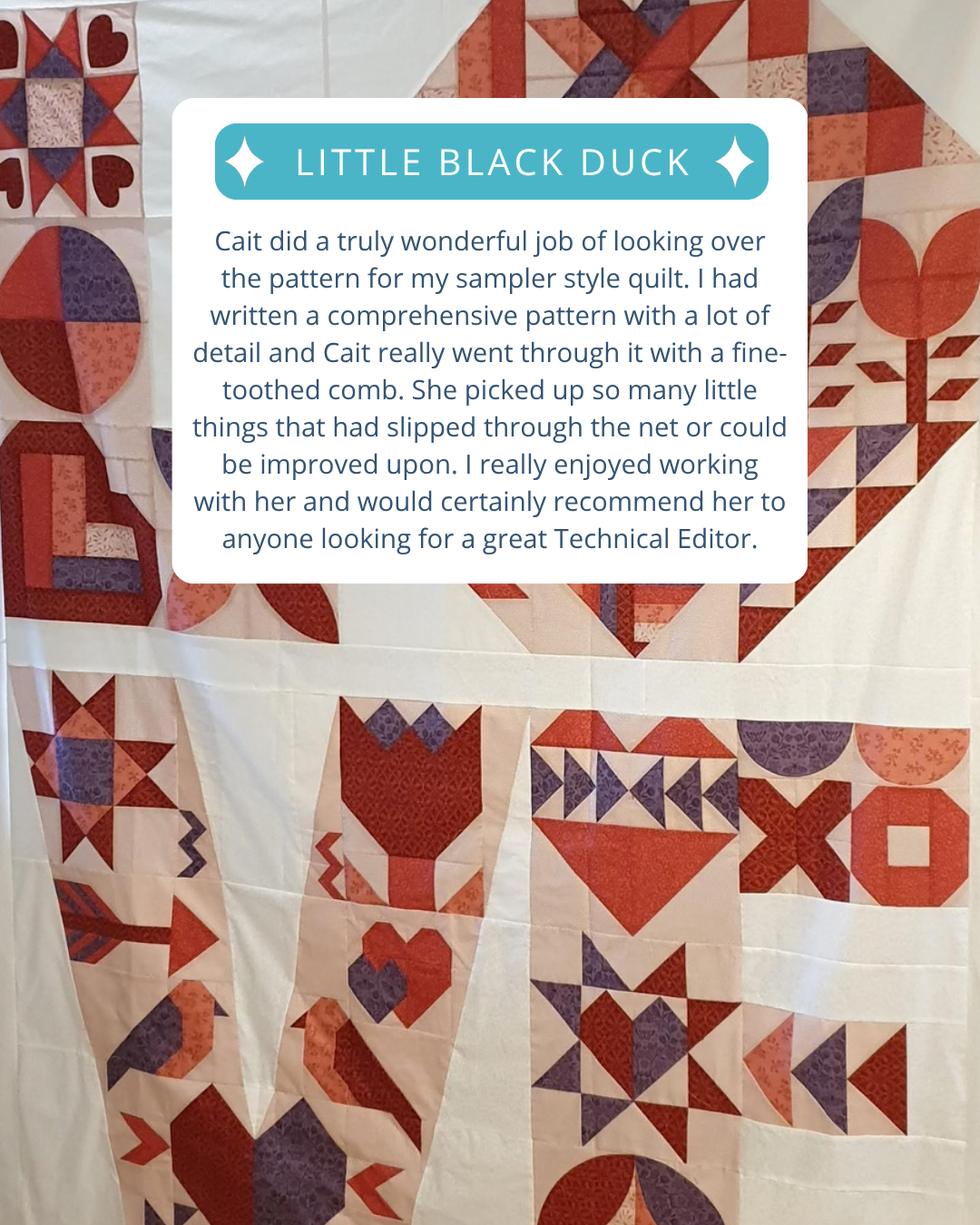 Little Black Duck technical editing review