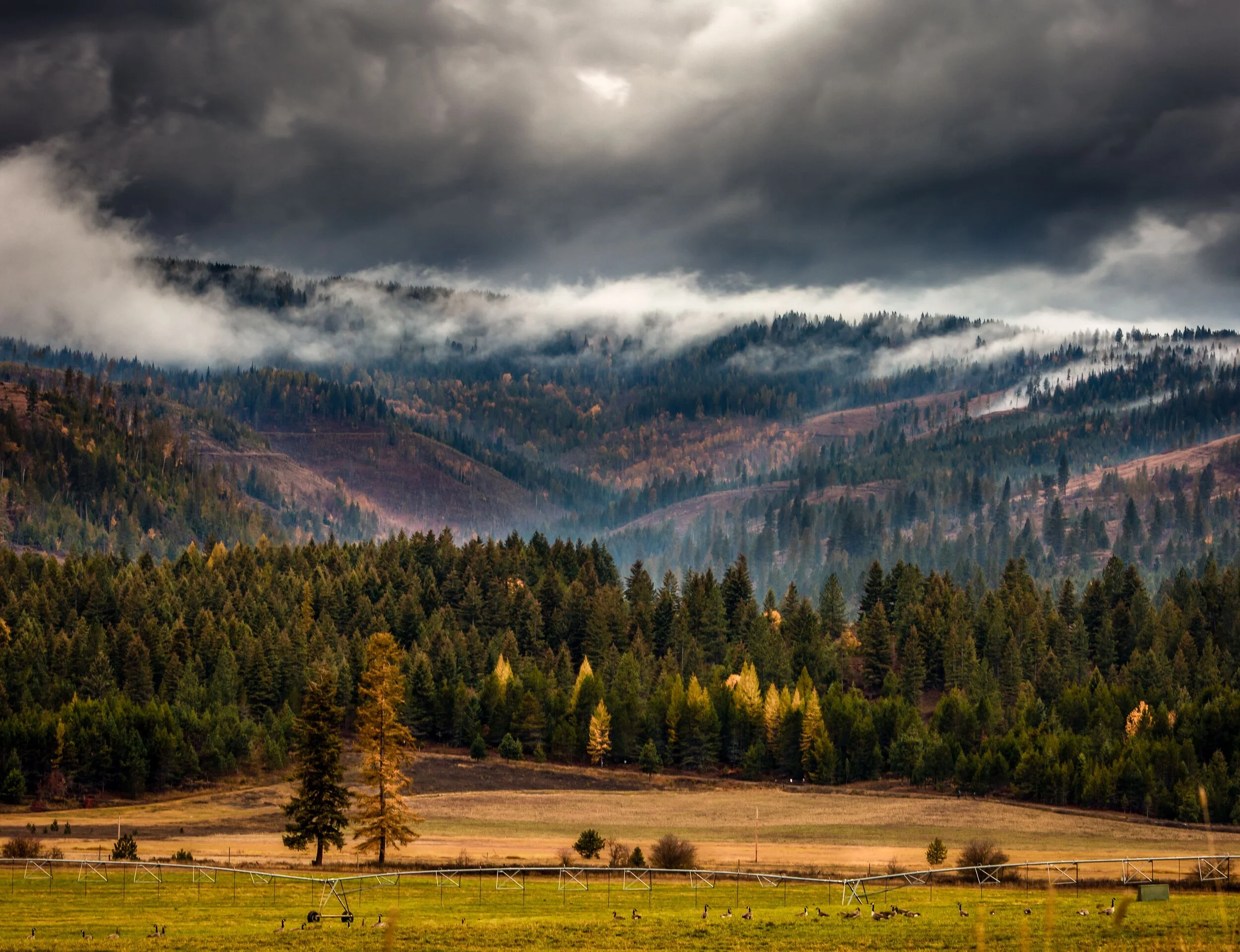 SpiritLake-Cuttoff-4x3 (1)-min.jpg