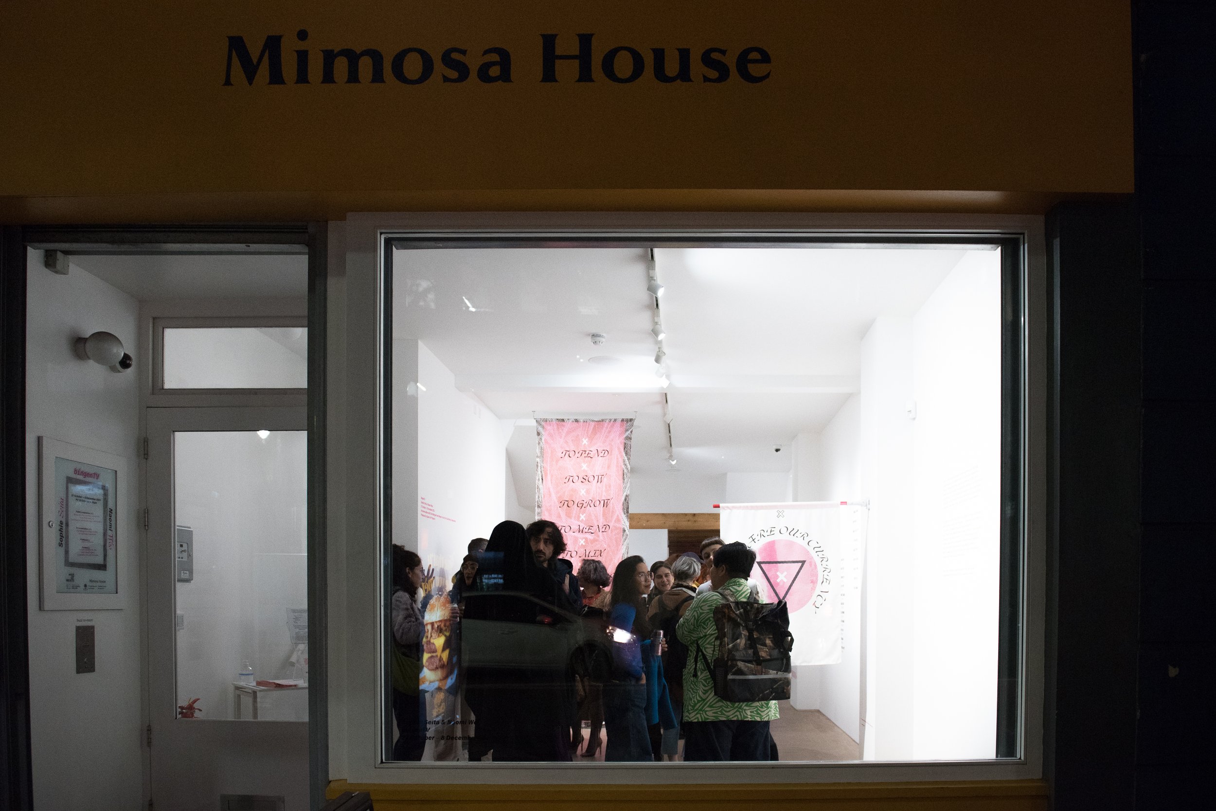 Mimosa H s (25 of 135).jpg